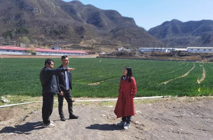 f1c8e4eeab8aca1ed78a22fb9e1fb675