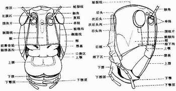 實驗指導